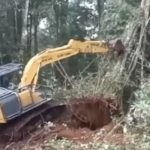 Screenshot_20260402_070231